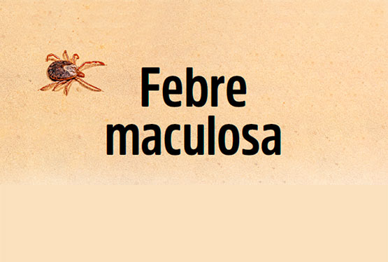 Febre maculosa - Riscos e como se proteger da doença 