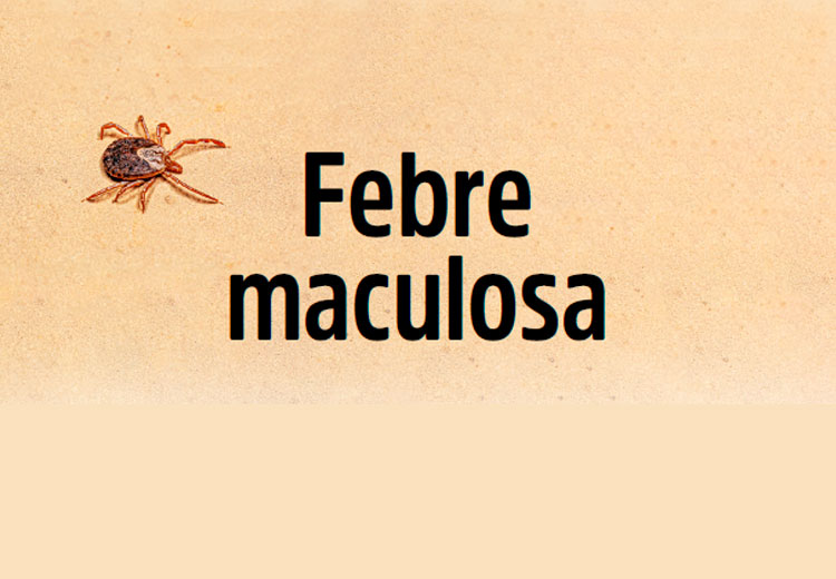 Febre maculosa - Riscos e como se proteger da doença